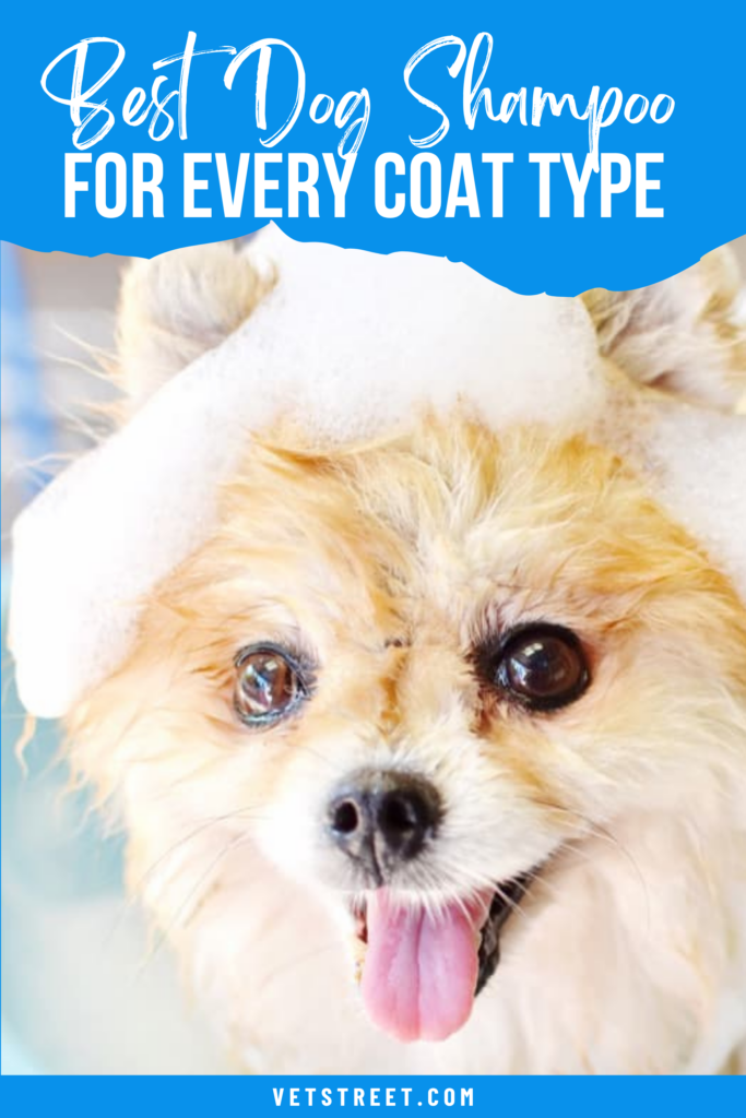 BEST DOG SHAMPOO FOR ALL COATS