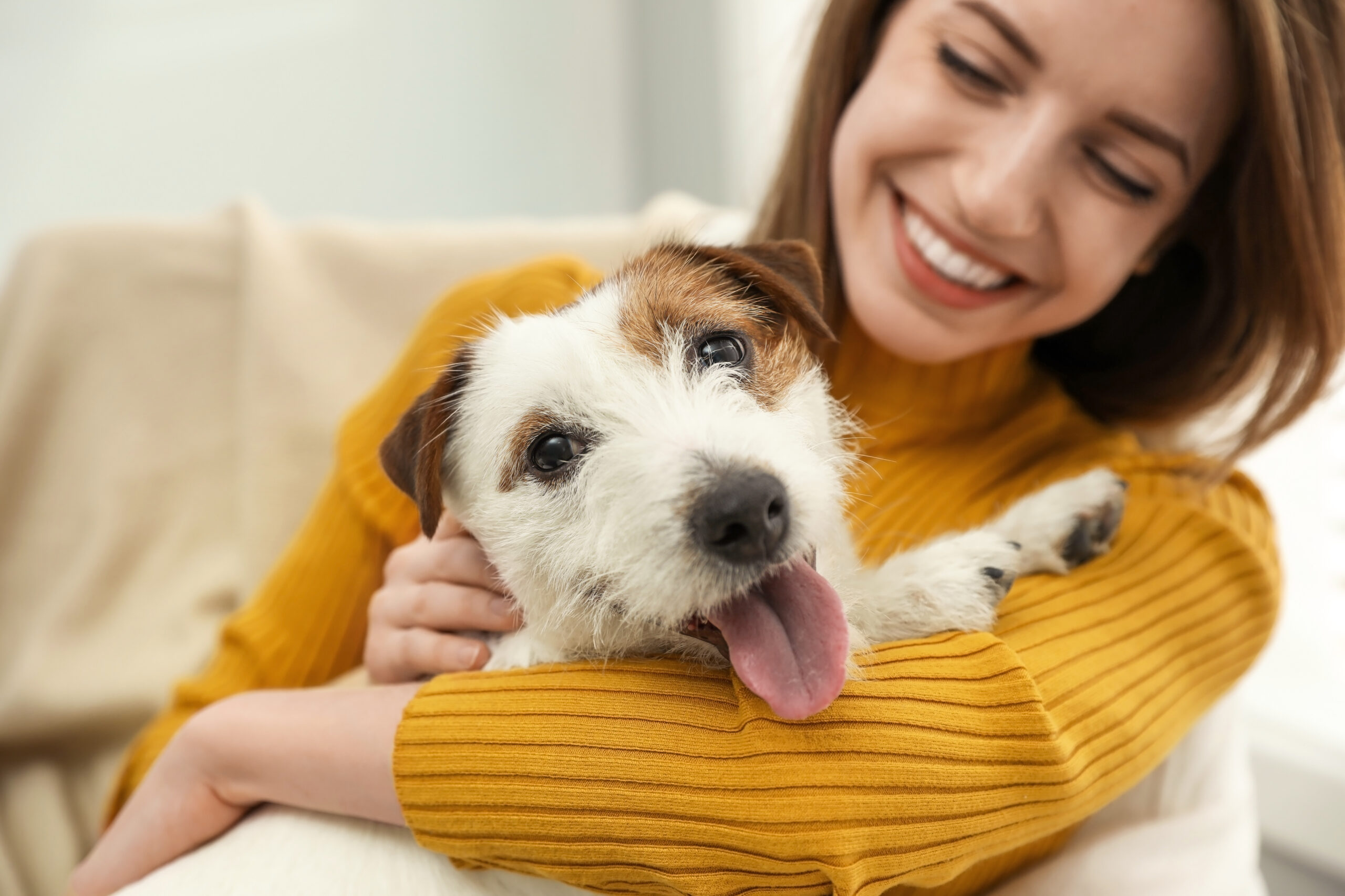 Your Adult Dog: What to Expect at 1-2 Years