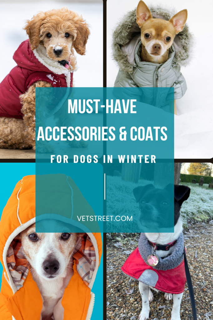 dog must have cold weather coats and more