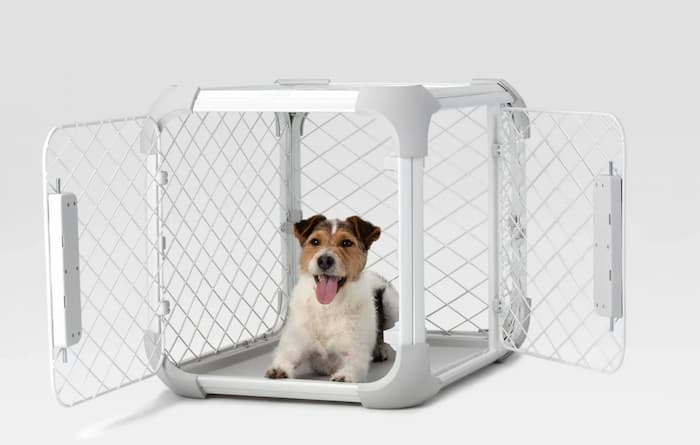 Diggs Revol Collapsible Dog Crate, Ash, Small