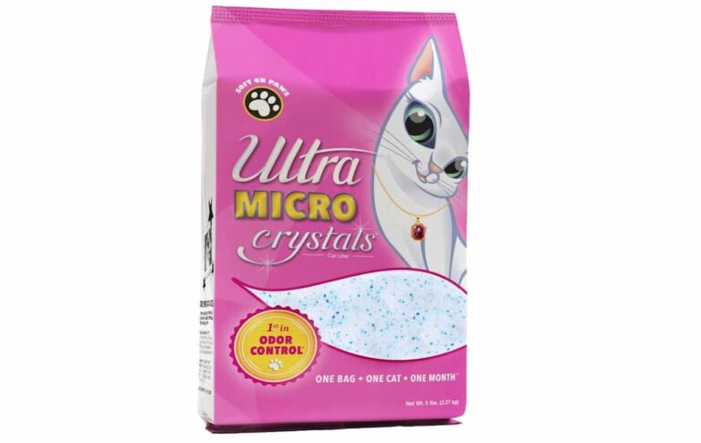 Picture of 6 Best Non-Clumping Cat Litters of 2025 - Vetstreet | Vetstreet