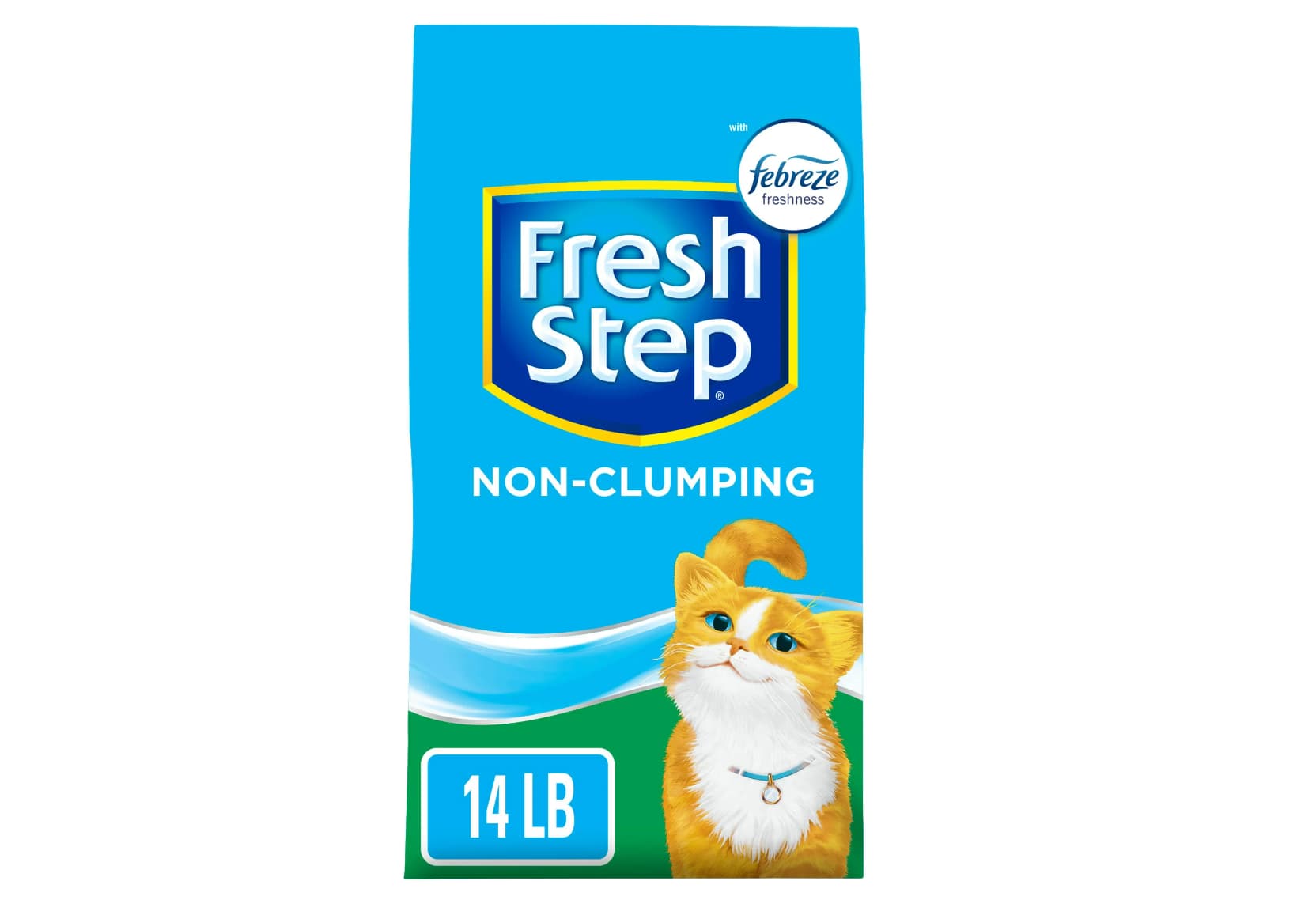 6 Best NonClumping Cat Litters of 2024 Vetstreet Vetstreet