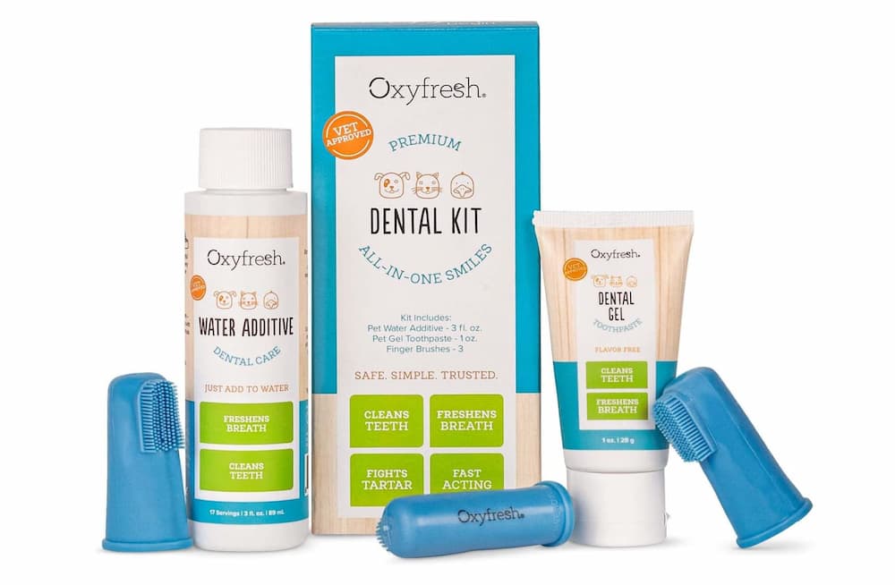 OxyFresh dental kit