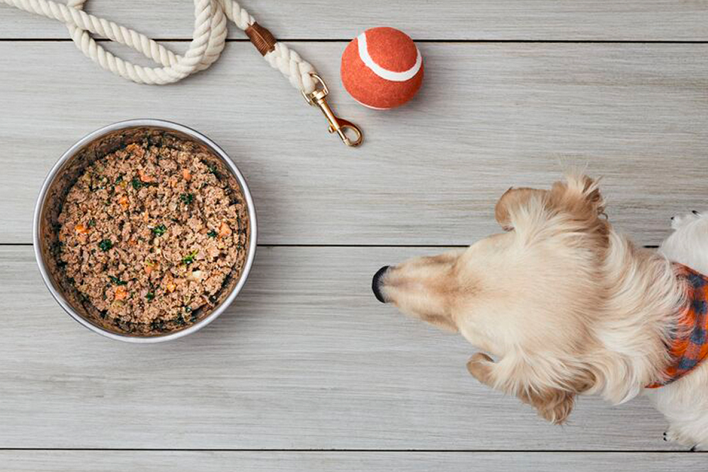 overheat shot of bowl of The Farmer's Dog food with dog looking at it