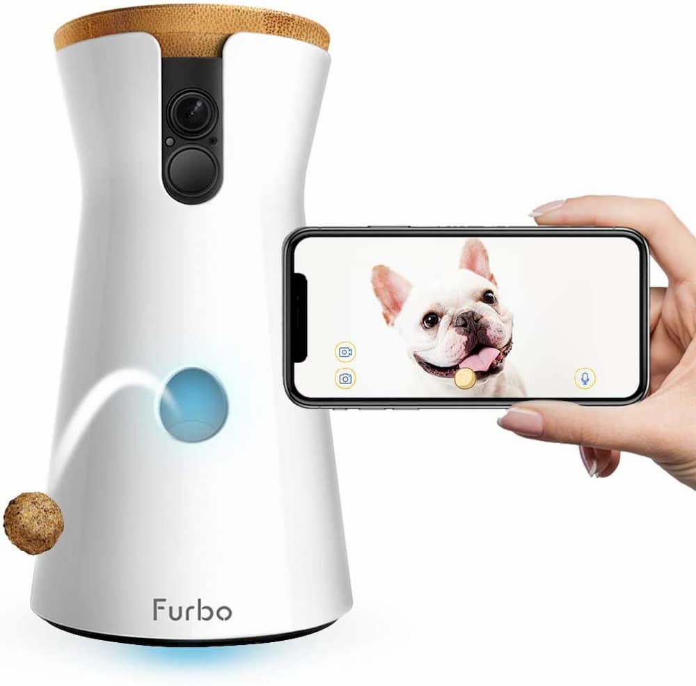 Furbo treat dispensing dog camera