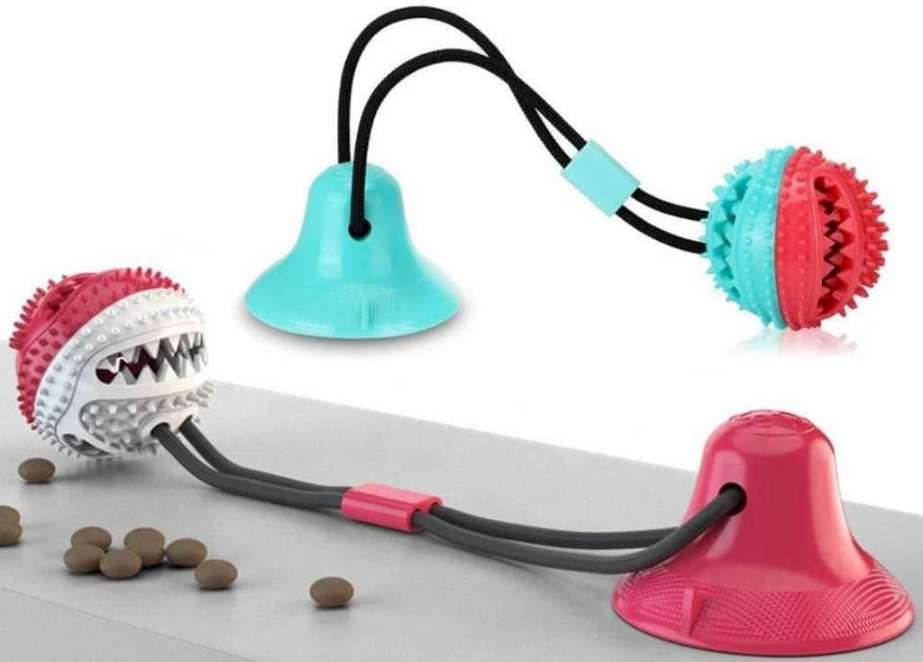 5 Fun Suction-Cup Dog Toys to Keep Canines Busy - Vetstreet