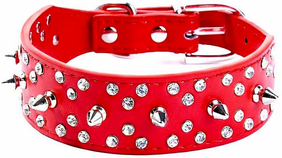 Red dog collar with spikes and studs