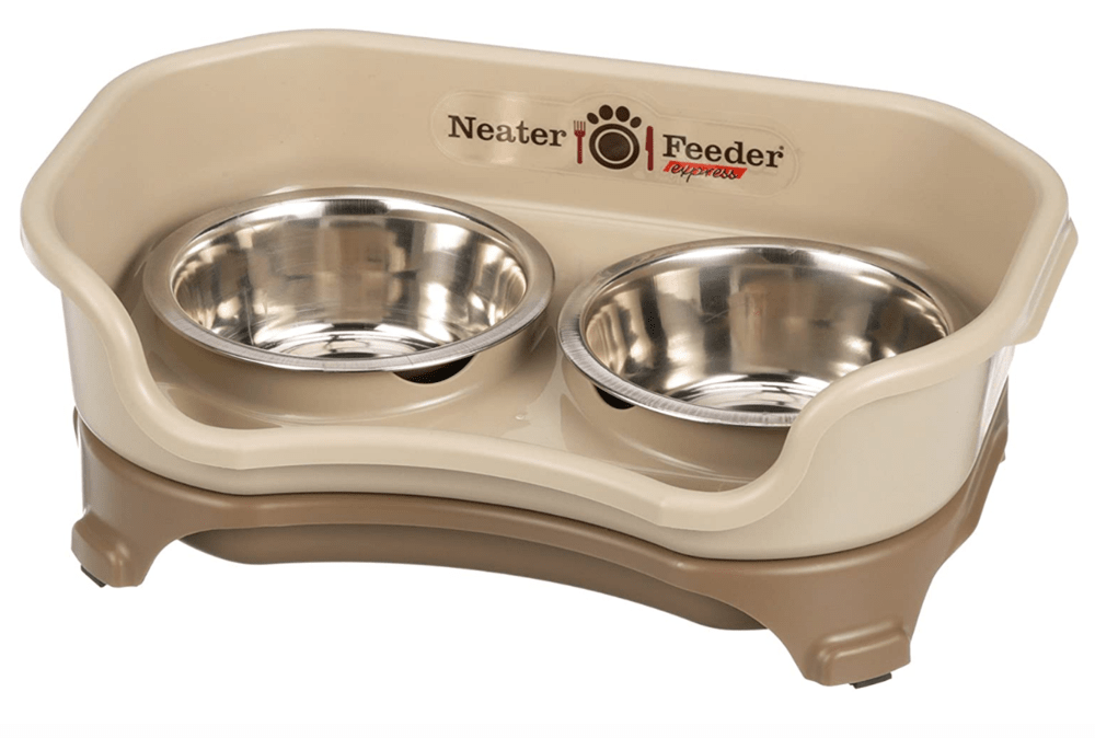 Best elevated dog bowl from neater feeder