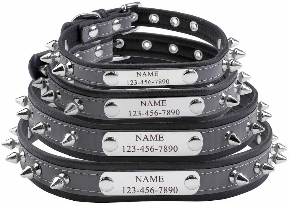 Customizable dog collar with spikes