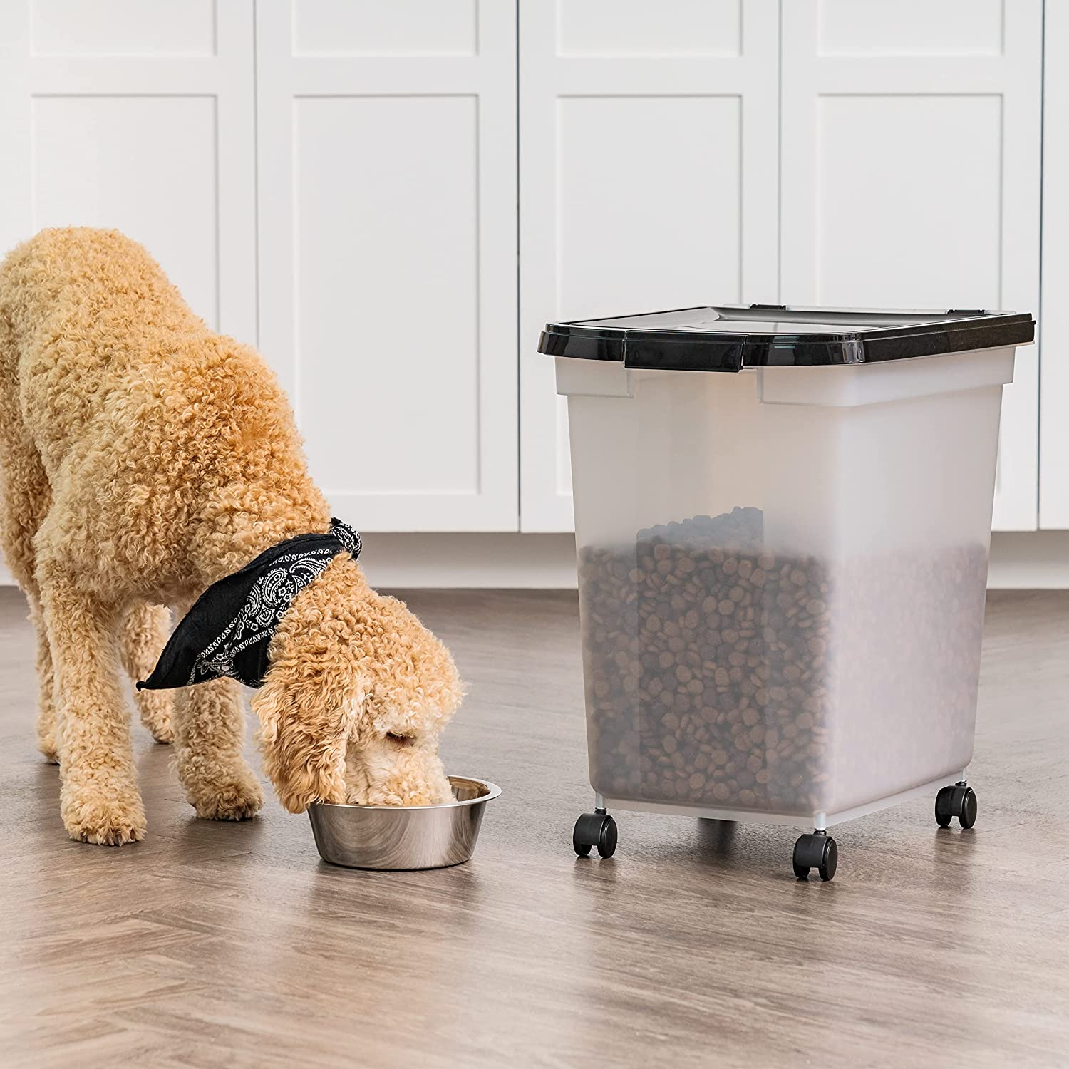 Harry Barker Bon Chien Small Dog Food Storage Canister in Taupe