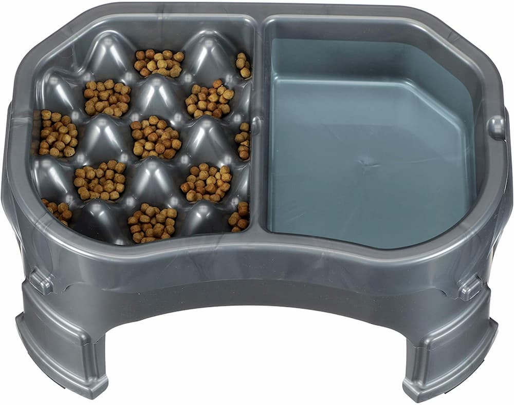 10 Benefits of an Elevated Dog Bowl – Neater Pets