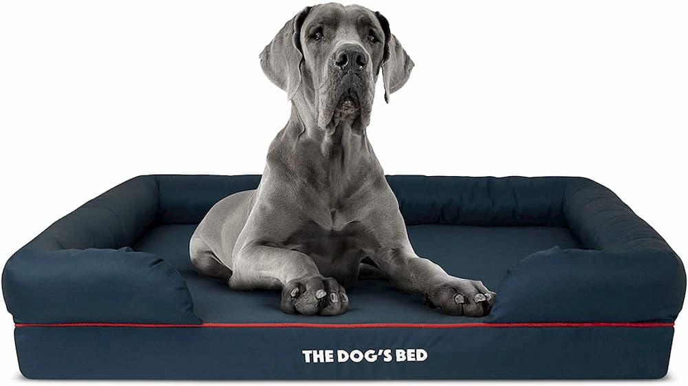 the-dogs-bed