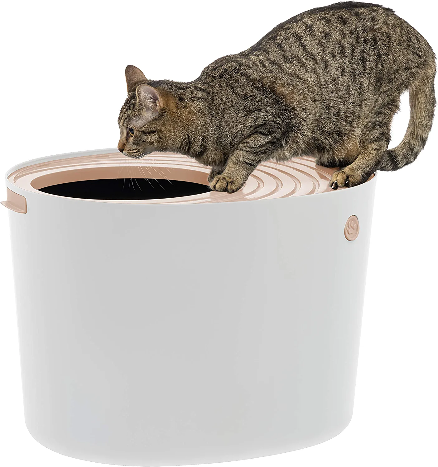 Cat hovering over fancy litter box controls odor