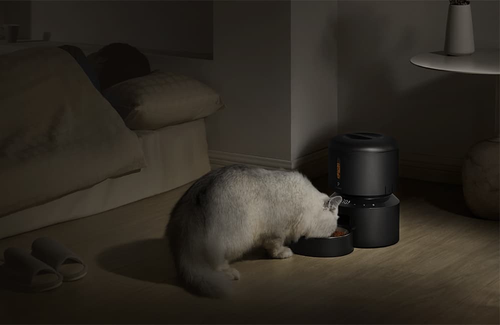 cat eats from automatic cat feeder