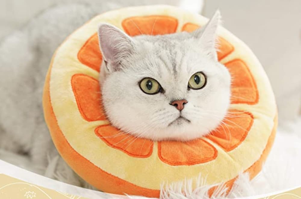 ANWA Adjustable Cat Cone Collar Soft