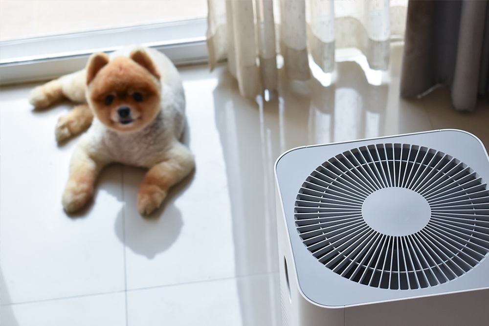 Pawtins™ - Pet Air Purifier PRO