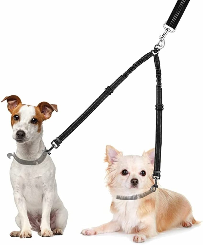 AUTOWT Double Dog Leash