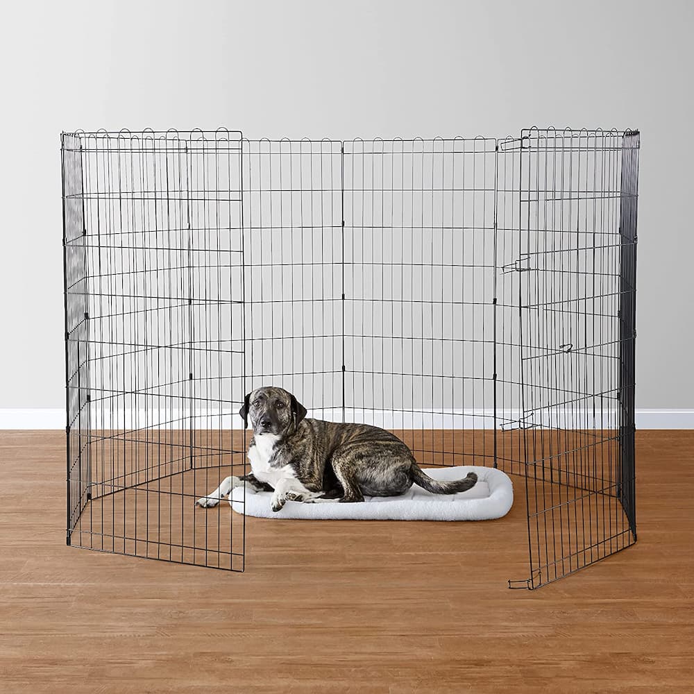 Amazon Basics Foldable Metal Pet Dog Exercise Fence Pen.jpg