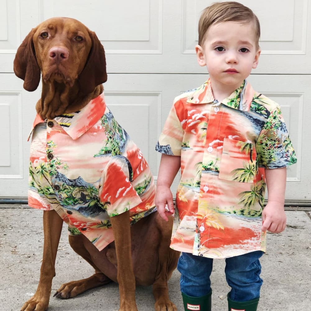 Happy dog with kid wearing matching shirts