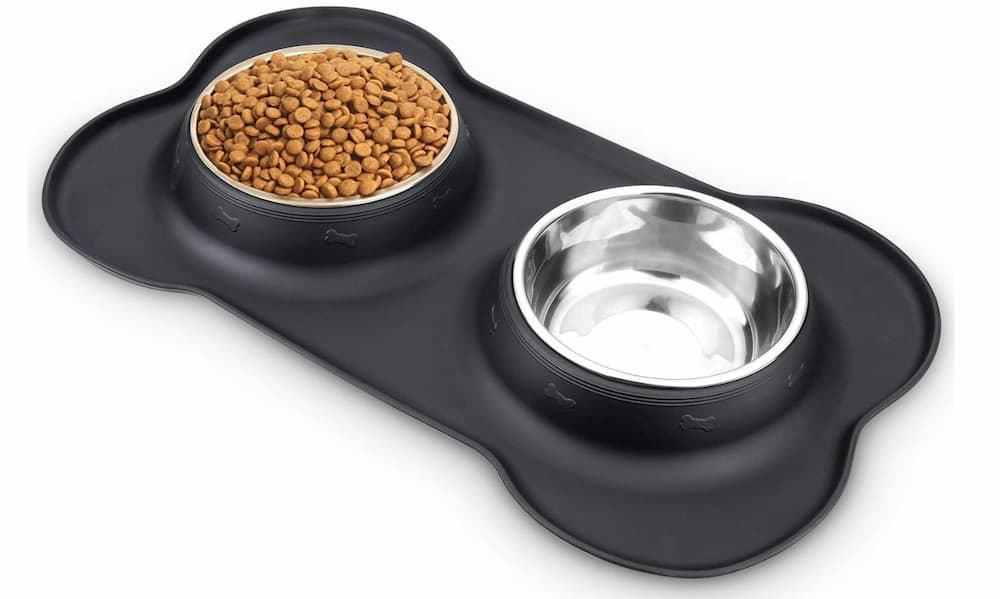 9 Best Elevated Dog Bowls for Large Dogs - Vetstreet