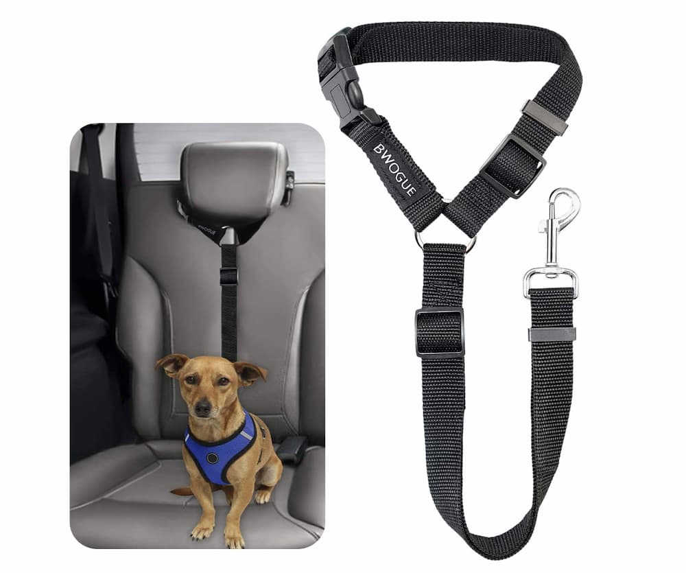 BWOGUE Pet Dog Cat Seat Belts