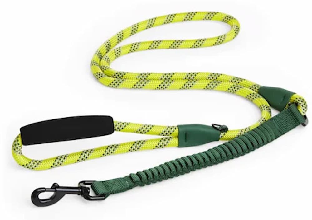 Backcountry x Petco The Rope Dog Lead