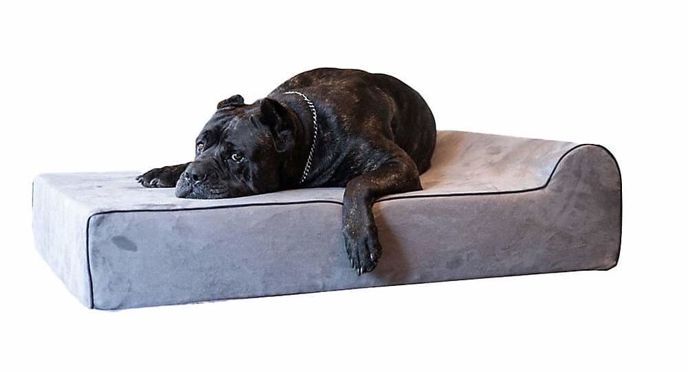 Bully Beds Orthopedic, Washable & Waterproof Big Dog Bed