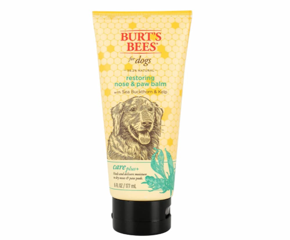 Burt's Bees for Dogs Care Plus+ Natural Sea Buckthorn & Kelp Bath Spray, Shampoo, and Nose & Paw Lotion for All Dogs