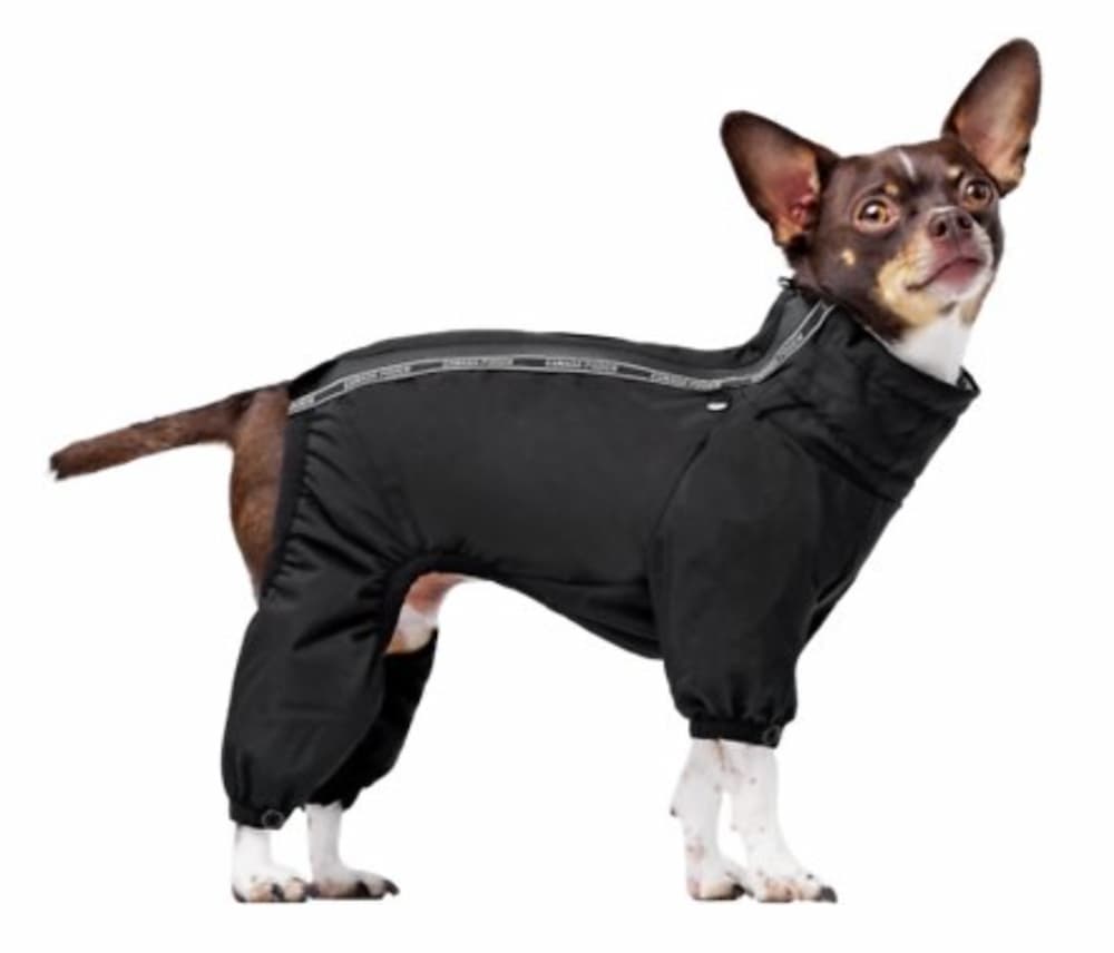 Canada Pooch Dog suit