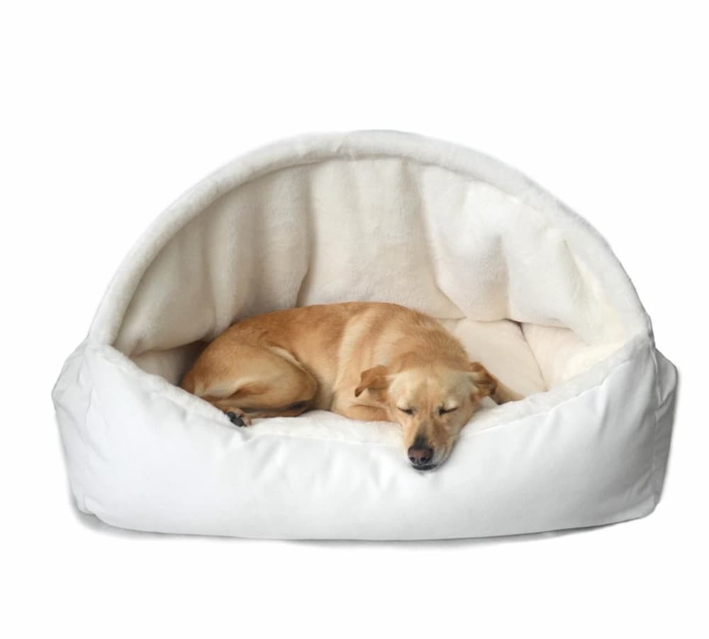 Sleek and modern to accent any décor, this bolster bed is perfect for smaller dogs or older arthritic pups.