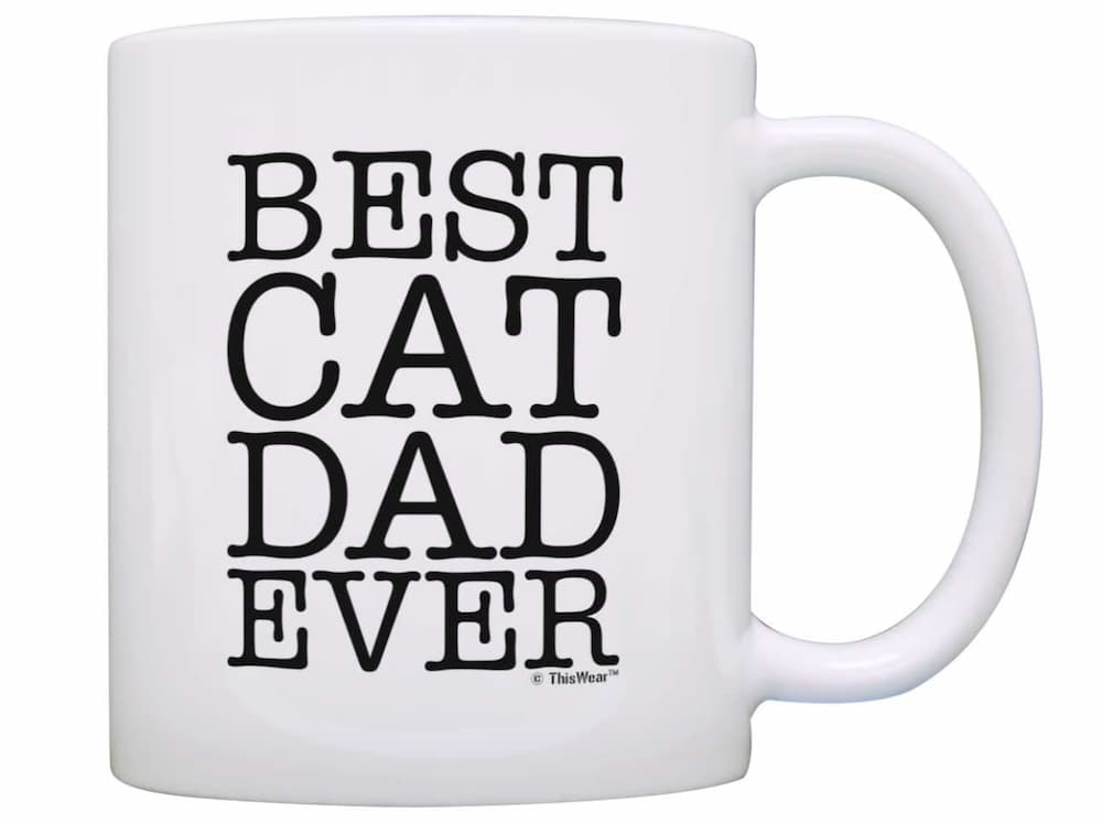 Koolkatkoo Cute Cat Coffee Mug for Cat Lovers Women Girls Ceramic Kitt