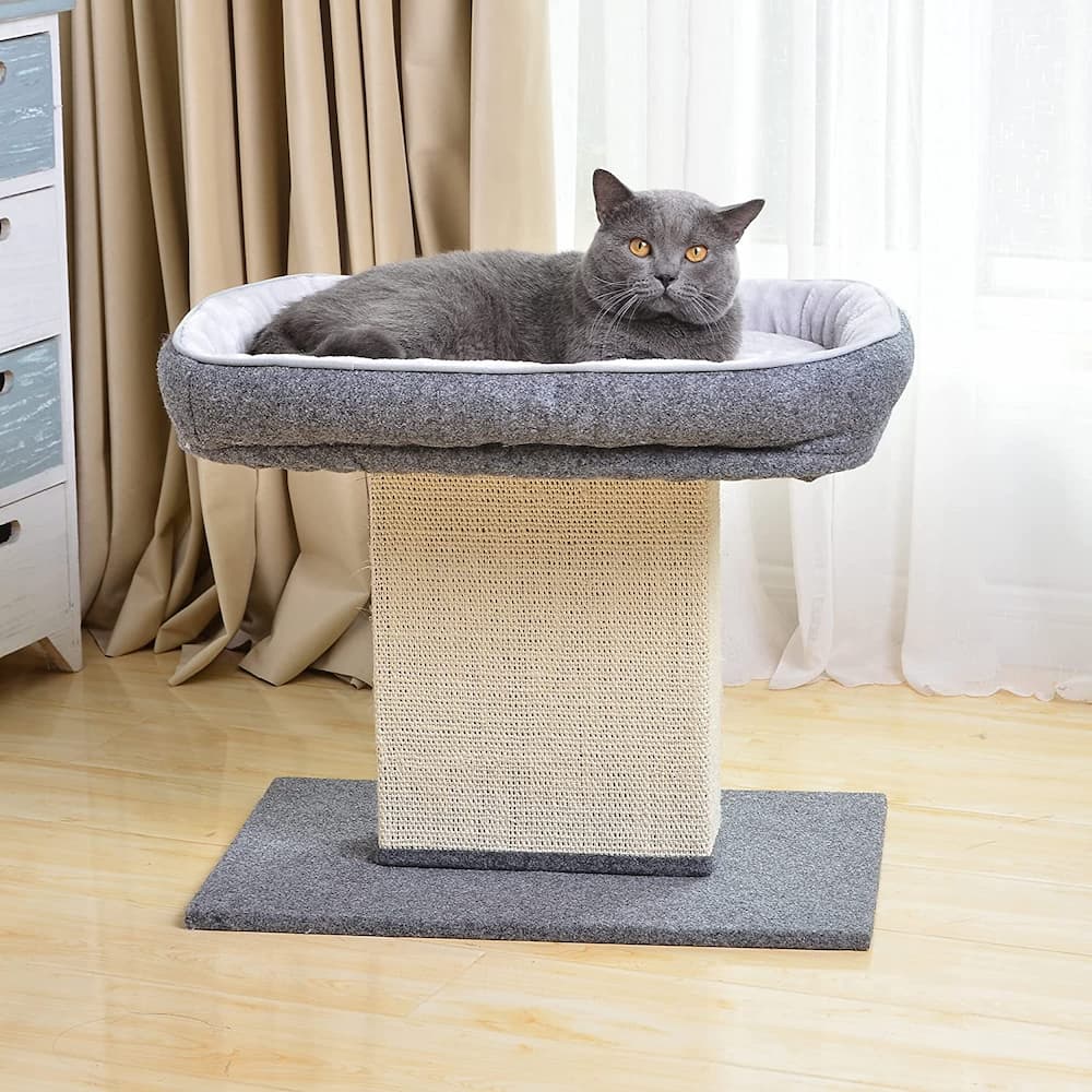 Catry Cat Bed with Scratching Post