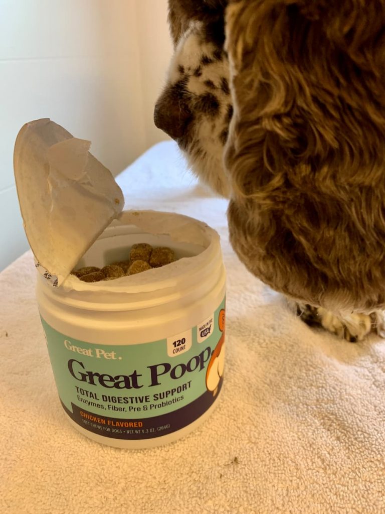 Great Poop Probiotic Chews for Dogs