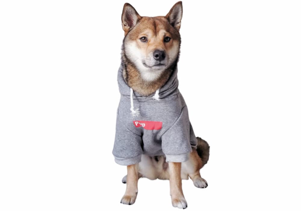 ChoChoCho Pup Dog Hoodie