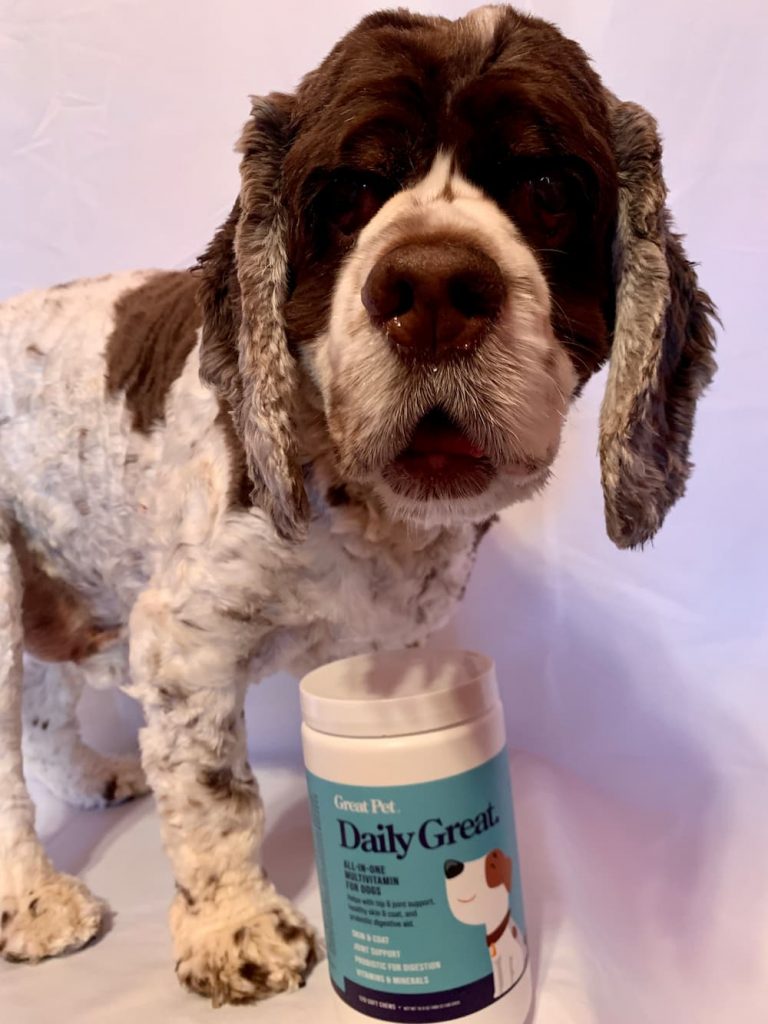 Daily Great dog multivitamin