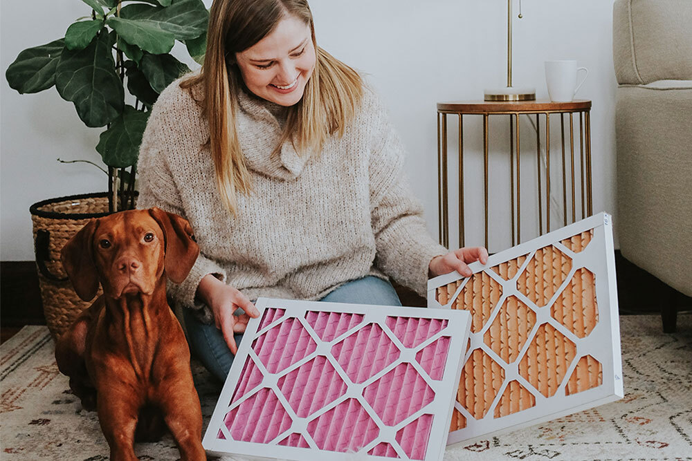 Colorfil Air Filter Review: Goodbye, Pet Odors!