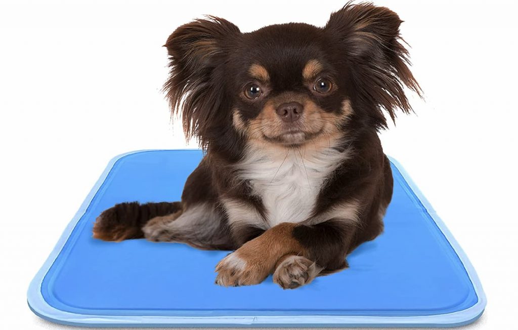  STOBOK Outdoor Dog Mat Outdoor Dog Bed Foldable