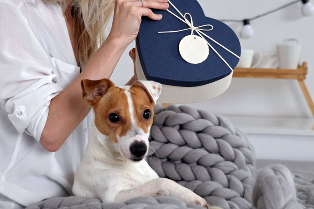 10 Best Custom Pet Gifts for Cat and Dog Lovers