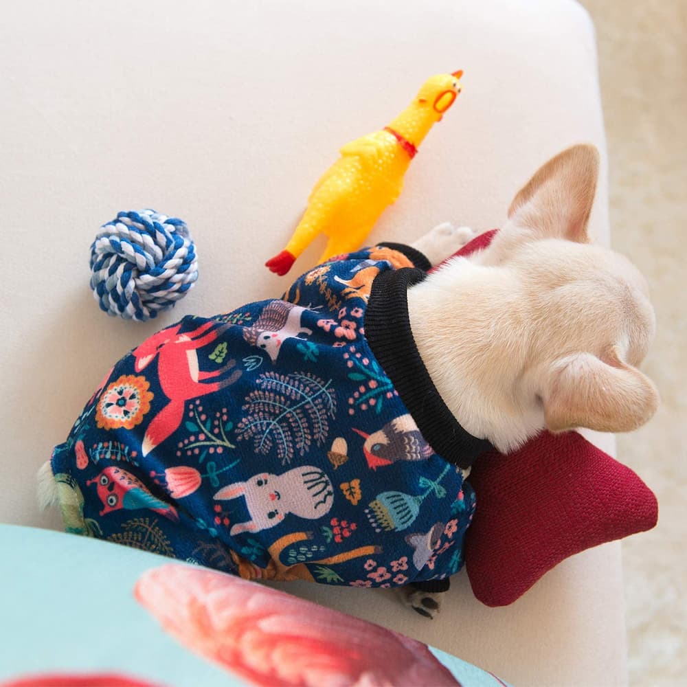 CuteBone puppy pajamas