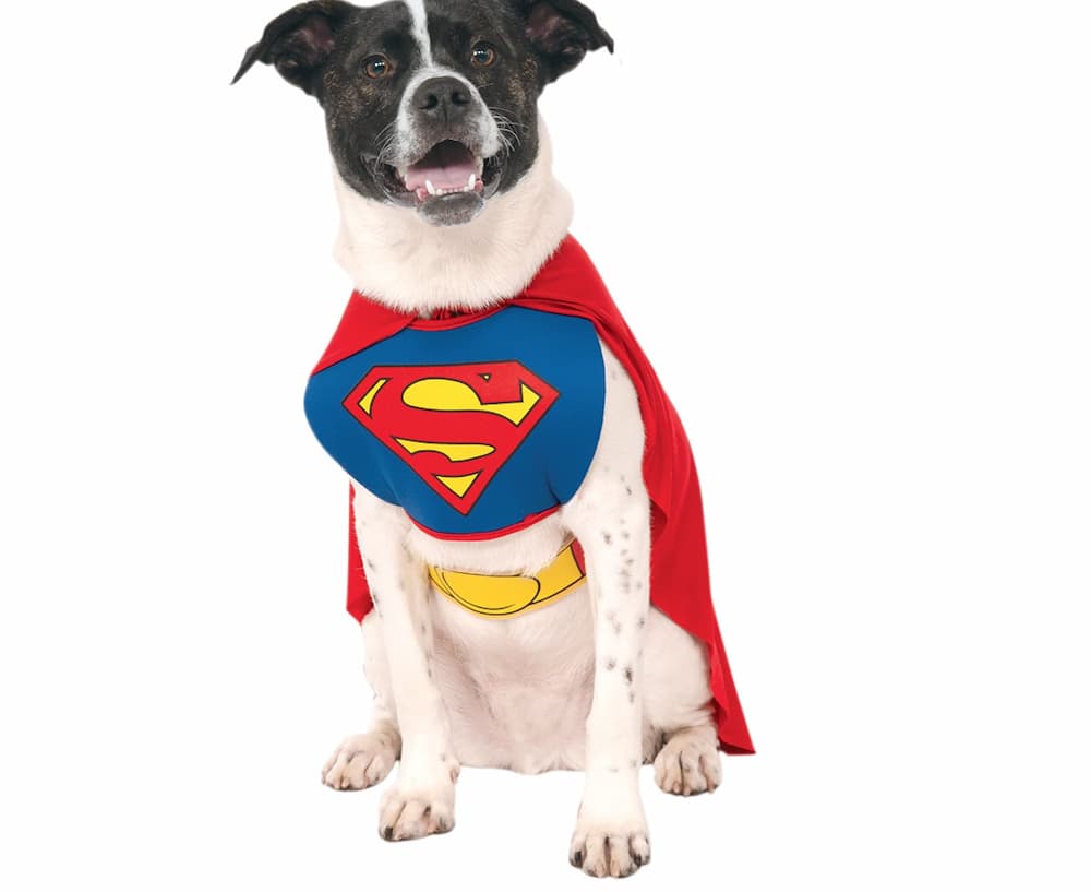 DC Comics Superman Cape With Chest Piece Pet Costume