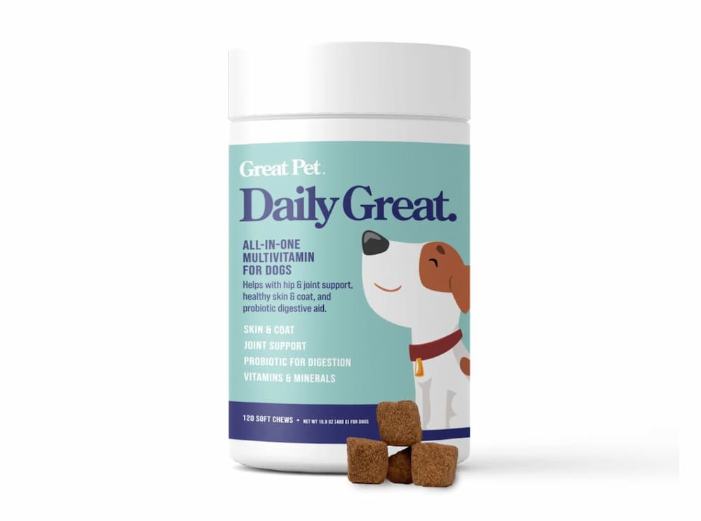 what supplements should i give my pregnant dog