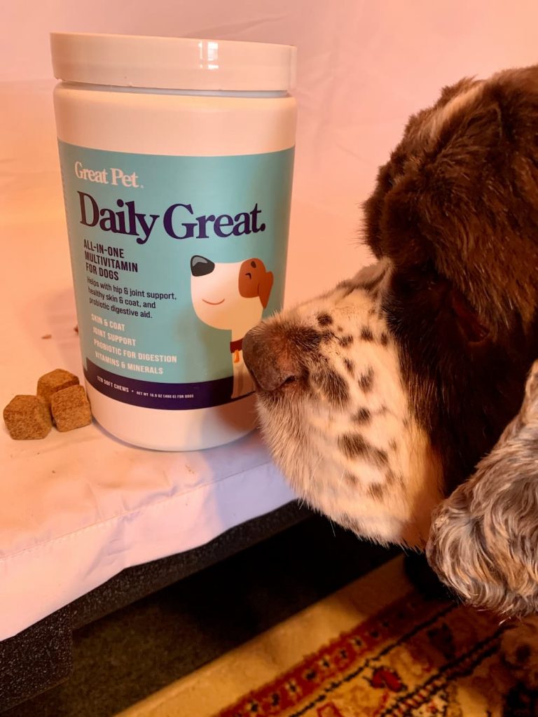 Dog sniffing Daily Great