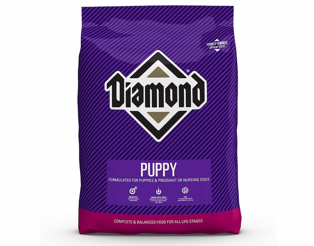 Diamond Premium Recipe Puppy