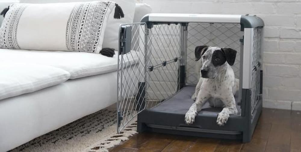 dog crate furniture with black and white dog inside
