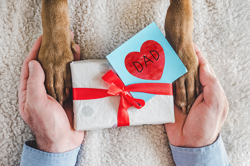 9 Ultimate Dog Dad Gifts for Canine-Loving Dudes