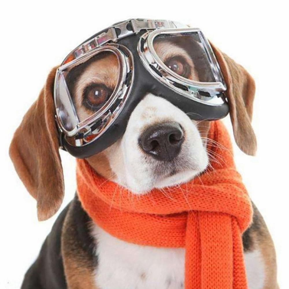 Dog Goggles UV Protection Dog Sunglasses