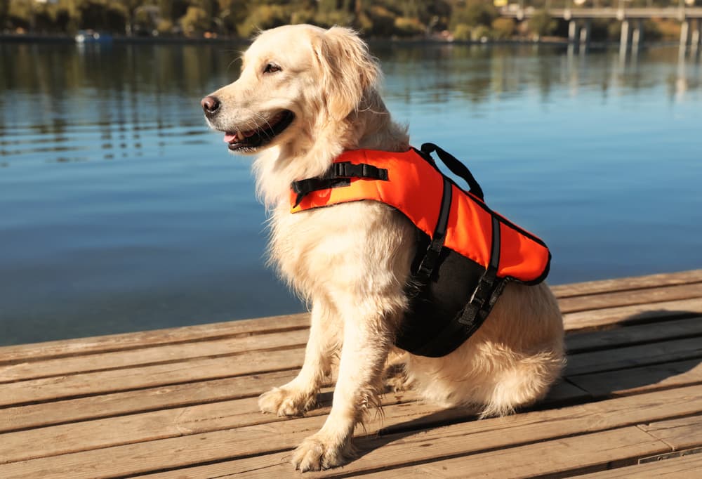 Outward Hound Dawson Dog Life Jacket - Red - Small