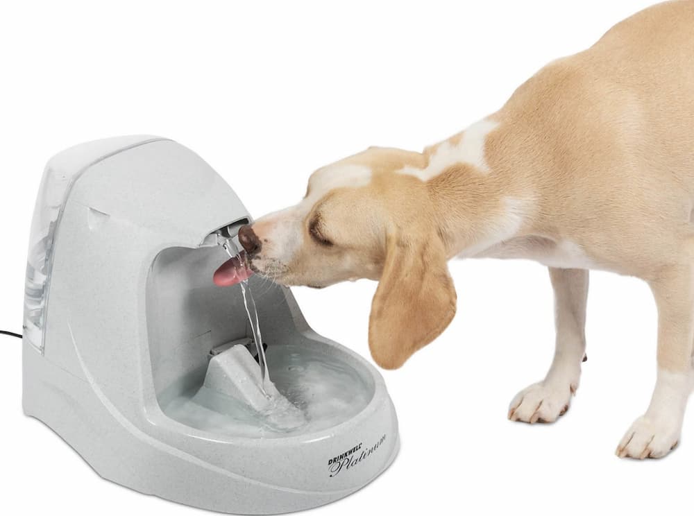 Drinkwell pet water fountain