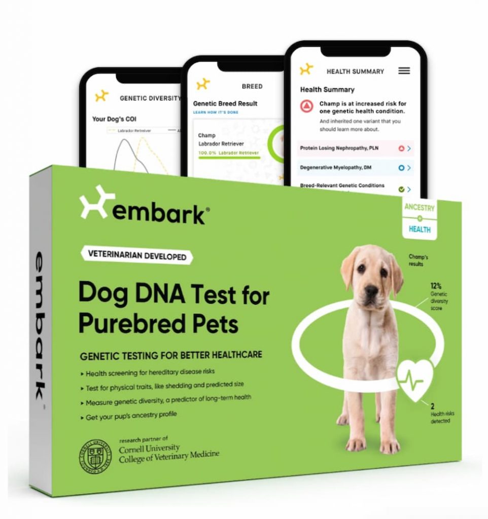 Embark DNA Test for Purebred Dogs