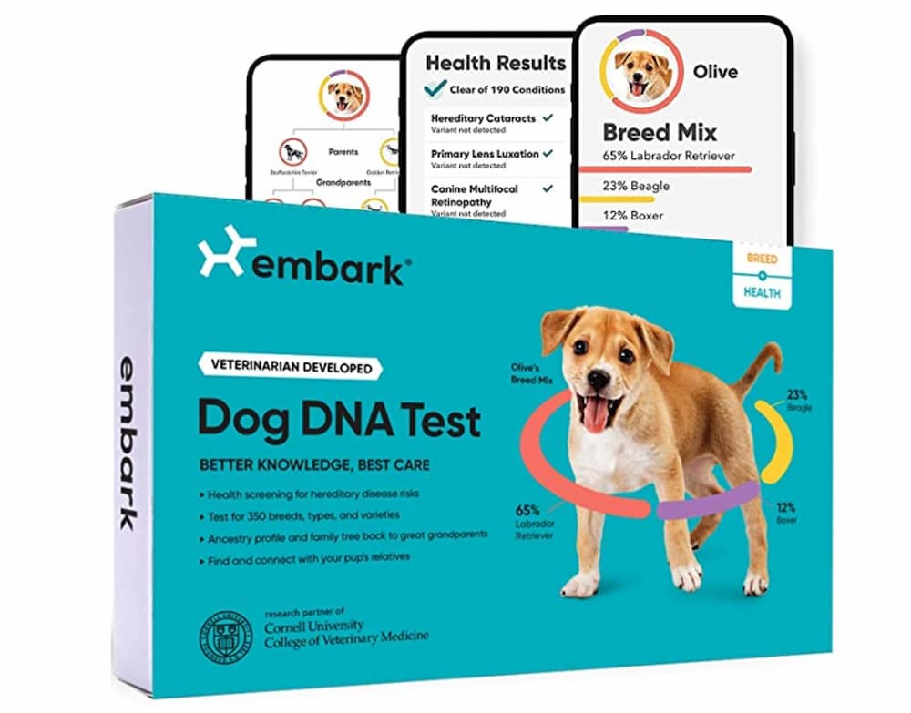 Embark Dog DNA Test Kit